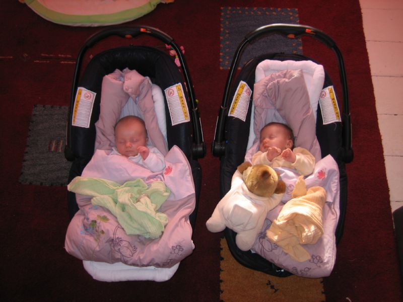 11-This is where they sleep